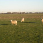 We had a small but attentive audience.